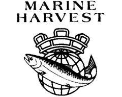 MARINE HARVEST