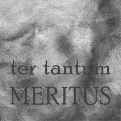 ter tantum MERITUS