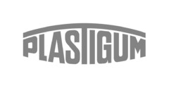 PLASTIGUM