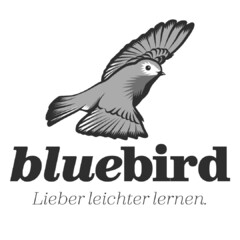 bluebird Lieber leichter lernen