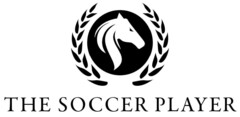 THE SOCCER PLAYER