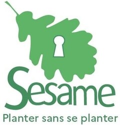 Sesame Planter sans se planter