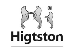 Higtston