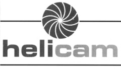 helicam