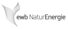 ewb NaturEnergie