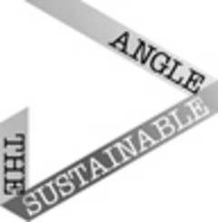 THE SUSTAINABLE ANGLE