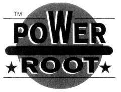 POWER ROOT