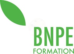 BNPE FORMATION