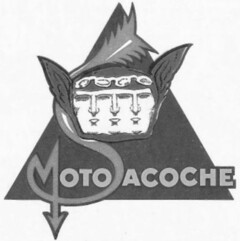 MOTOSACOCHE