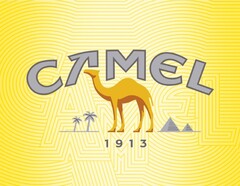 CAMEL 1913