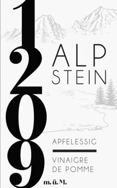 1209 ALP STEIN APFELESSIG VINAIGRE DE POMME m.ü.M.