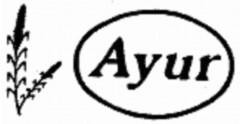 Ayur