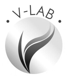 V-LAB