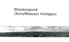 Blauburgund (Schaffhauser Klettgau)