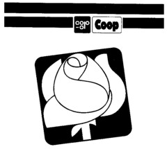 Coop