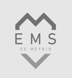 EMS DE MEYRIN