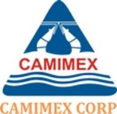 CAMIMEX CAMIMEX CORP