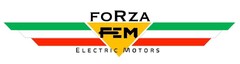 FORZA FEM ELECTRIC MOTORS