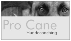 Pro Cane Hundecoaching