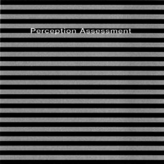 Perception Assessment
