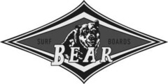 SURF BOARDS BEAR