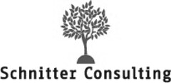 Schnitter Consulting