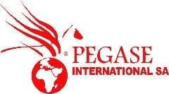 PEGASE INTERNATIONAL  SA