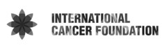 INTERNATIONAL CANCER FOUNDATION