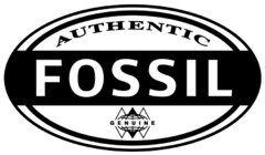 AUTHENTIC FOSSIL GENUINE