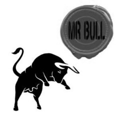 MR BULL