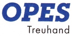 OPES Treuhand