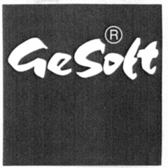 GeSoft