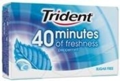 Trident 40minutes of freshness