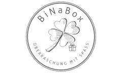 BiNa Box ÜBERRASCHUNG MIT SPASS