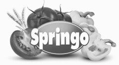 Springo