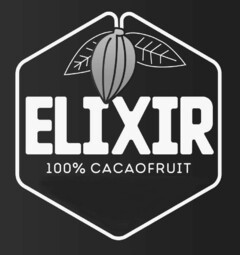 ELIXIR 100% CACAOFRUIT