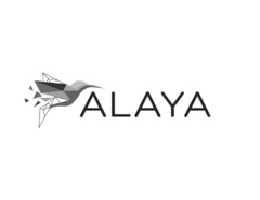 ALAYA