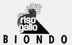 rIso gallo BIONDO