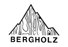 BERGHOLZ