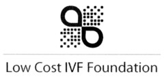 Low Cost IVF Foundation