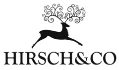 HIRSCH&CO