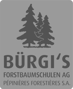 BÜRGI'S FORSTBAUMSCHULEN AG PÉPINIÈRES FORESTIÈRES S.A.