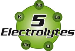 5 Electrolytes K Na Ca Mg Ci