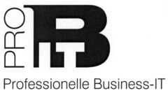 PRO B IT Professionelle Business-IT