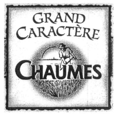 GRAND CARACTÈRE CHAUMES