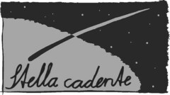 Stella cadente