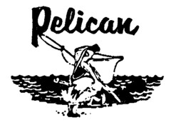 Pelican