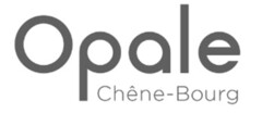 Opale Chêne-Bourg