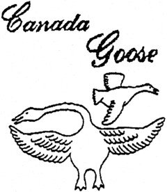 Canada Goose