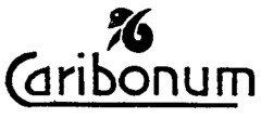 Caribonum